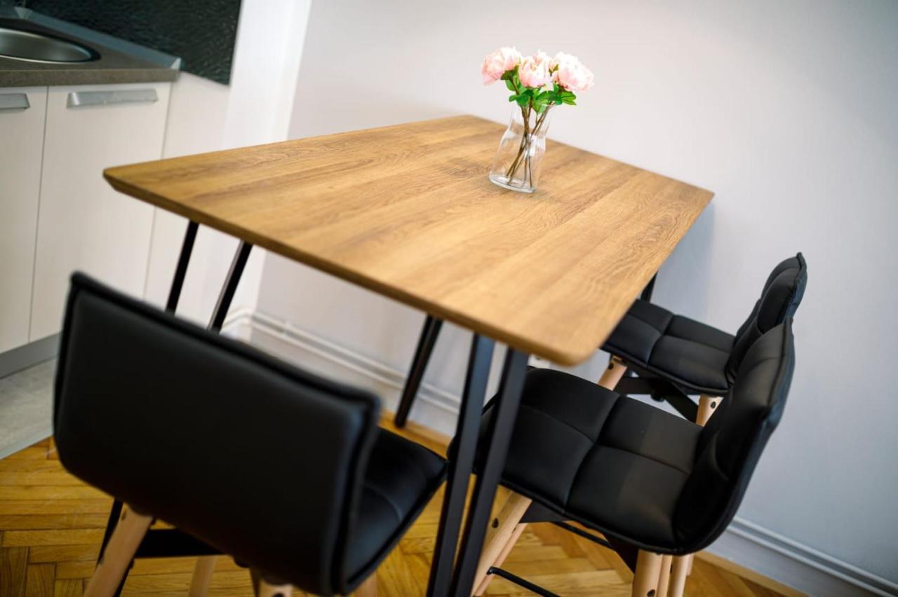 Studio Apartman Leon, Gajeva 7 萨格勒布 外观 照片