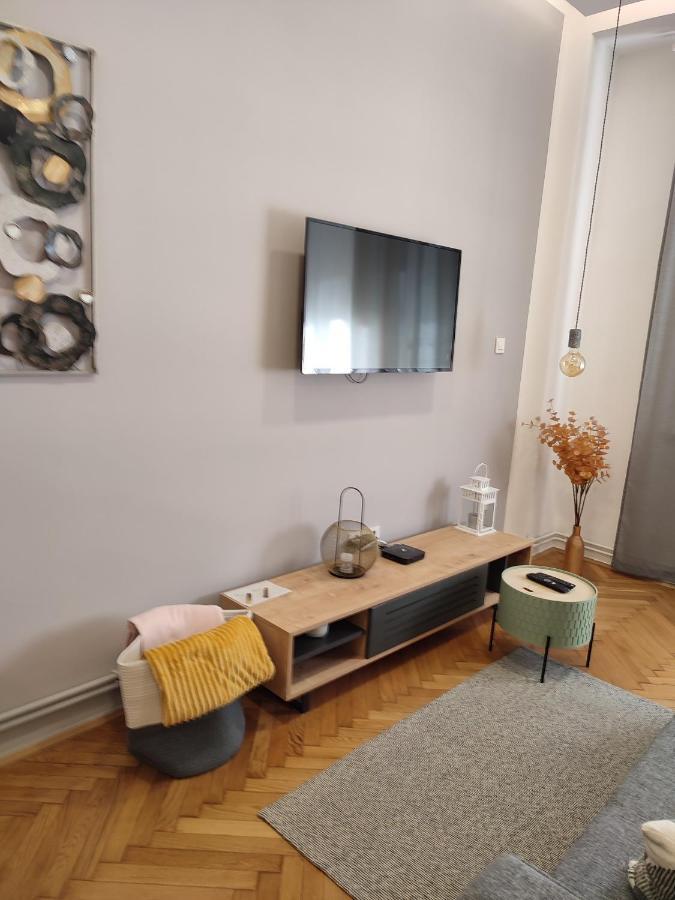 Studio Apartman Leon, Gajeva 7 萨格勒布 外观 照片