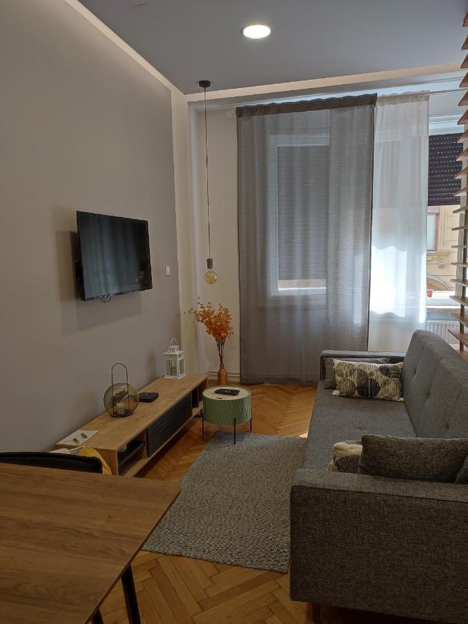 Studio Apartman Leon, Gajeva 7 萨格勒布 外观 照片